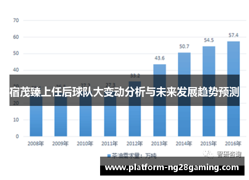 宿茂臻上任后球队大变动分析与未来发展趋势预测