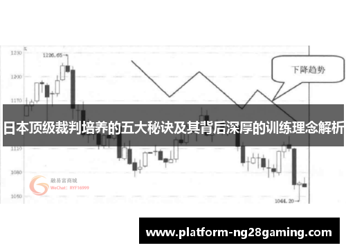 日本顶级裁判培养的五大秘诀及其背后深厚的训练理念解析