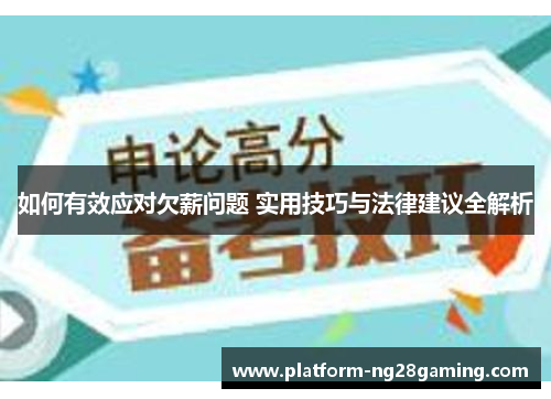 如何有效应对欠薪问题 实用技巧与法律建议全解析