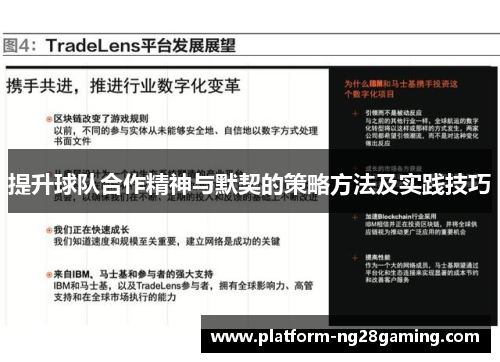 提升球队合作精神与默契的策略方法及实践技巧