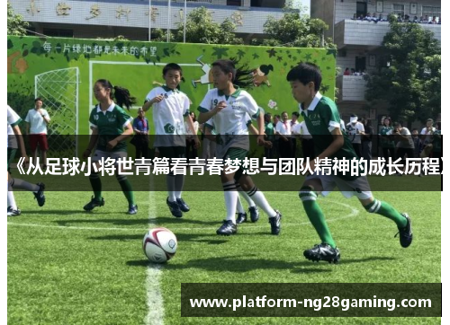 《从足球小将世青篇看青春梦想与团队精神的成长历程》