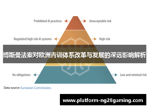 博斯曼法案对欧洲青训体系改革与发展的深远影响解析