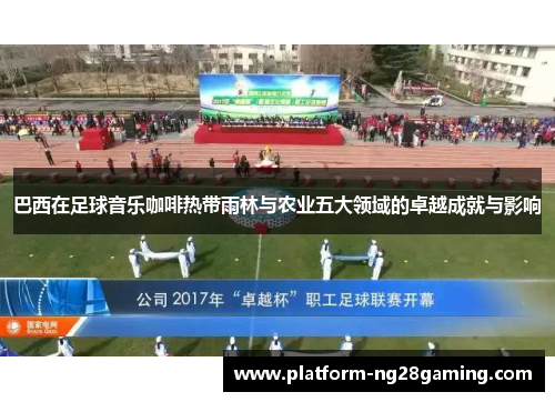 巴西在足球音乐咖啡热带雨林与农业五大领域的卓越成就与影响 巴西在足球音乐咖啡热带雨林与农业五大领域的卓越成就与影响