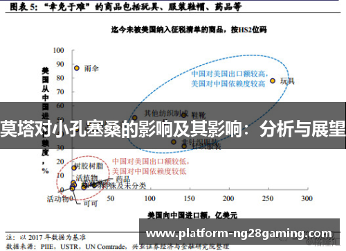 莫塔对小孔塞桑的影响及其影响:分析与展望 莫塔对小孔塞桑的影响及其影响:分析与展望