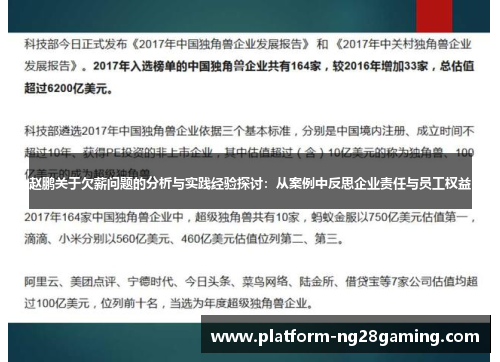 赵鹏关于欠薪问题的分析与实践经验探讨：从案例中反思企业责任与员工权益