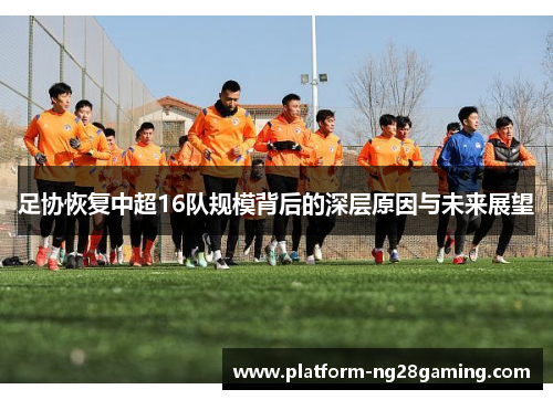 足协恢复中超16队规模背后的深层原因与未来展望