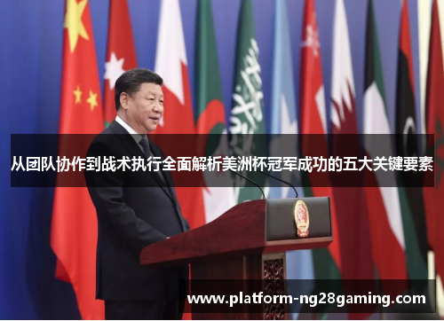 从团队协作到战术执行全面解析美洲杯冠军成功的五大关键要素