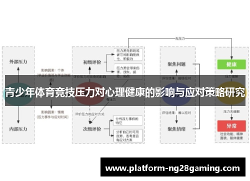 青少年体育竞技压力对心理健康的影响与应对策略研究 青少年体育竞技压力对心理健康的影响与应对策略研究