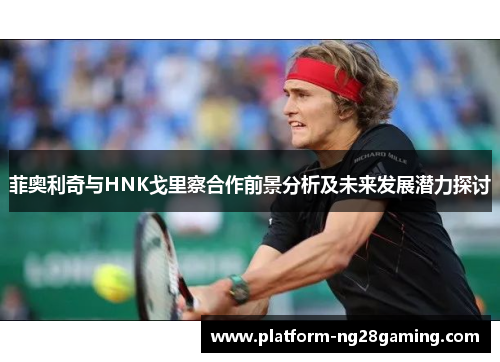 菲奥利奇与HNK戈里察合作前景分析及未来发展潜力探讨